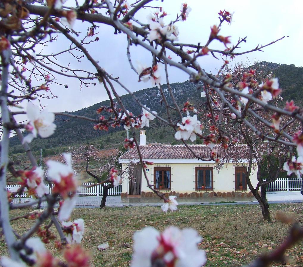 Huéscar Vivienda Rural Embalse San Clemente旅馆 外观 照片